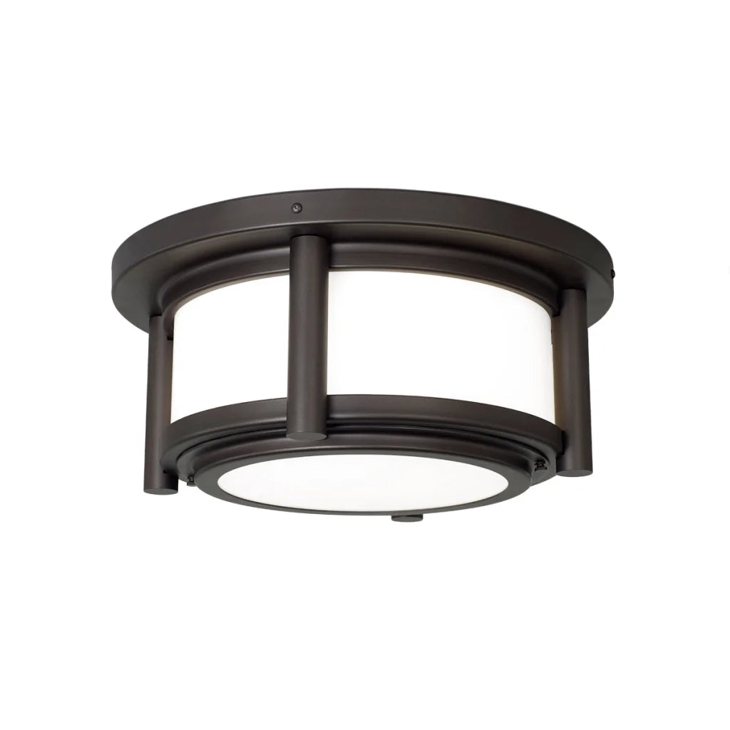 Black matte finish ceiling light fixture with a modern design and frosted glass diffuser.